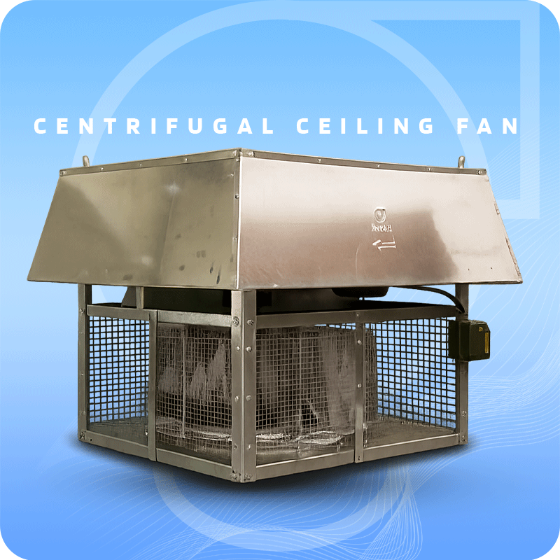 1New-Project-(5).png